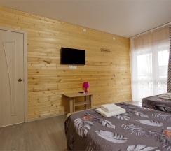 Семейный 2х комнатный в Белая Деревня