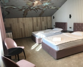 Стандартный номер 2 кровати (Алёнушка) в Аленушка