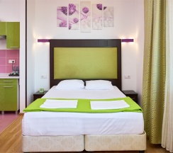 Стандарт  ДАБЛ с балконом в Диса