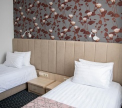 Номер стандарт улучшенный с 2 односпальными кроватями в Хабаровск