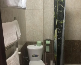 Двухместный номер Standard (двуспальная кровать) в Центр