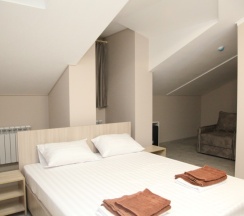 Комфорт трехместный в Триумф