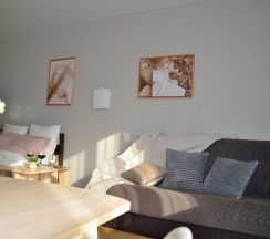 Апартаменты студия №1 в Мышкин уют