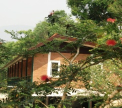 Двухместный номер Superior двуспальная кровать в Marisa Resort & Spa Chiang Dao