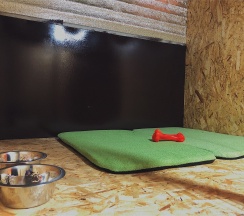 Комната для домашних животных в Сак