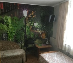 Номер стандарт с 1 односпальной кроватью в Шатковская