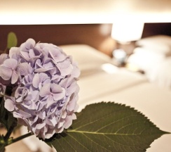 Одноместный номер Standard в Four Points by Sheraton Josun, Seoul Station