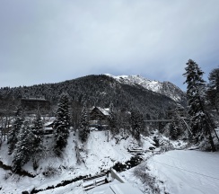 2-местный номер полулюкс с 1 двуспальной кроватью в Bostan