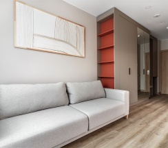 Studio Standart 19,7 в Well