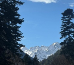 Стандарт Улучшенный в Potap