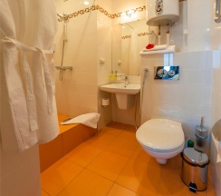 Стандарт в Панорама