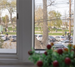 Двухместный номер с двуспальной кроватью в на Пушкина