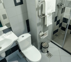 Комфорт-Плюс с 1-ой кроватью в Topos congress-hotel