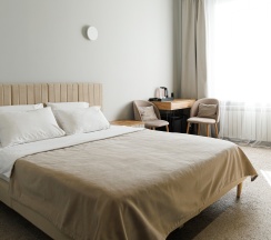 Улучшенный номер с одной двухспальной кроватью (TWIN) в Парк Культуры