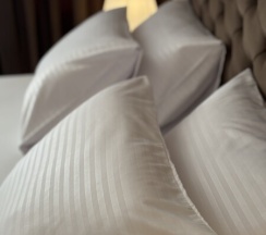 Комфорт Сьют плюс в Ларионов