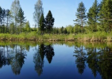 Лодж с террасой и купелью (dogs friendly) в Orsha River Club