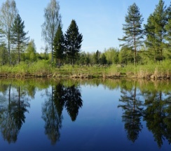А-фрейм с террасой и купелью (dogs friendly) в Orsha River Club
