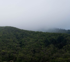 Двухкомнатный Стандарт в Леки