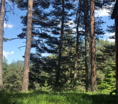 Шале 3. Четырехместный номер комфорт с видом на горы в Белый волк