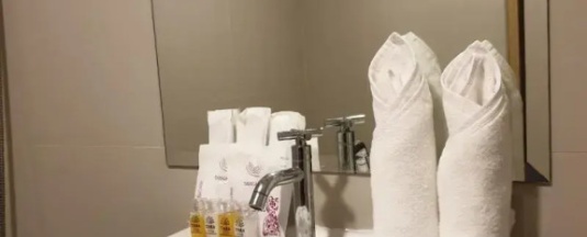 Номер Deluxe в Tara Garden
