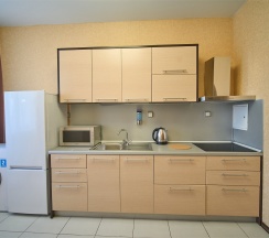 Апартаменты с кухней 2-комнатные (Two-room Apartment) в Екатерининский квартал