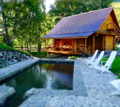 Шале с Маралами в Басаргино