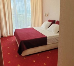 Двухместный номер Standard двуспальная кровать в Абхазия