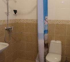 Номер стандарт с 1 двуспальной кроватью в Подворье