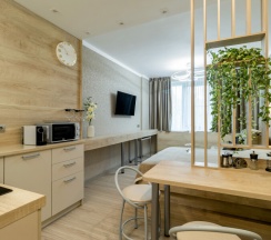 Tree №221  | Студия с видом на Волгу в Nort на Родионова