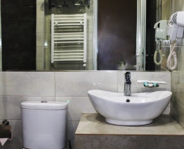 Номер Premium в Отель Panorama ECO-Hotel