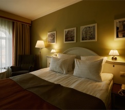 Стандартный номер с видом на парк (1 категория) в Старый город