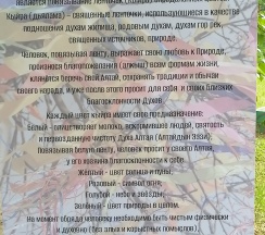Дом улучшенный в Берег лебеди