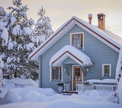 Коттедж стандарт Сосна в Старт
