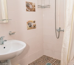 "ЛЮКС", 2х мест., 1 комн.(№7) в Новый континент