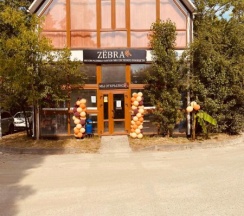 Однокомнатная квартира в Zёbra House