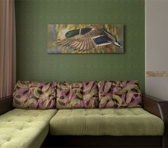 JUNIOR SUITE в Dolphin planet
