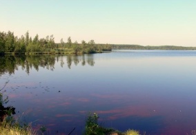 Гостевой дом Русская дача в Юже