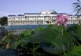 Турбаза Волга-дельта в Астраханской области