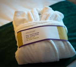 Номер Privilege - с двуспальной кроватью в Mercure Саранск Центр