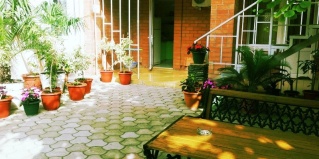 Геленджик: Гостевой дом Гостевой дом