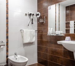 Делюкс в Topos congress-hotel