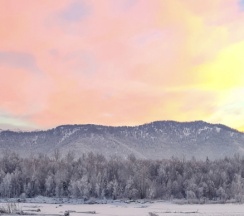 Четырёхместные апартаменты с 2 комнатами в Тихий берег