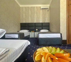Номер комфорт с 2 односпальными кроватями в Villa Victoria
