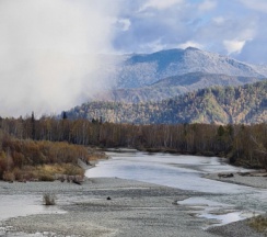 Четырёхместные апартаменты с 2 комнатами в Тихий берег