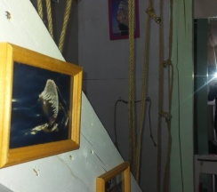 Коттедж стандарт в Амарант