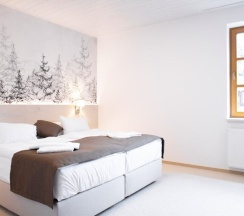 Двухместный полулюкс 2 отдельные кровати в Amenity Resort Spindleruv Mlyn