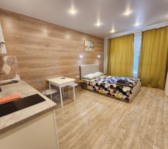 2-местные апартаменты студия Квартира-студия у метро Котельники в The Loft Studio Moscow