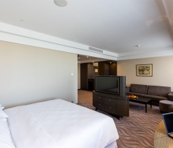 Полулюкс в Sheratonplaza Ufa Congress Hotel
