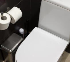 Стандарт сингл в Ласка