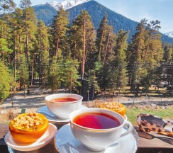 Стандарт улучшенный (№5)с видом на лес и горы в Намира